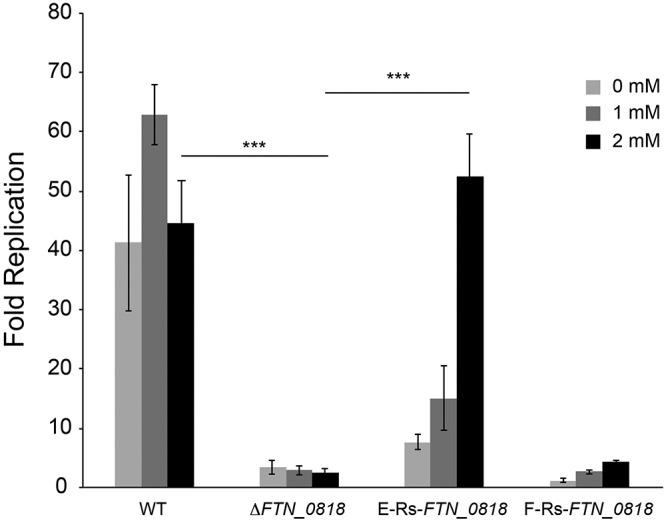 FIG 5