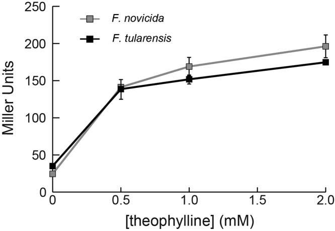 FIG 6