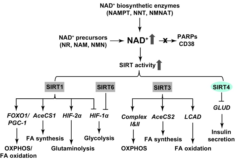 FIG. 9.