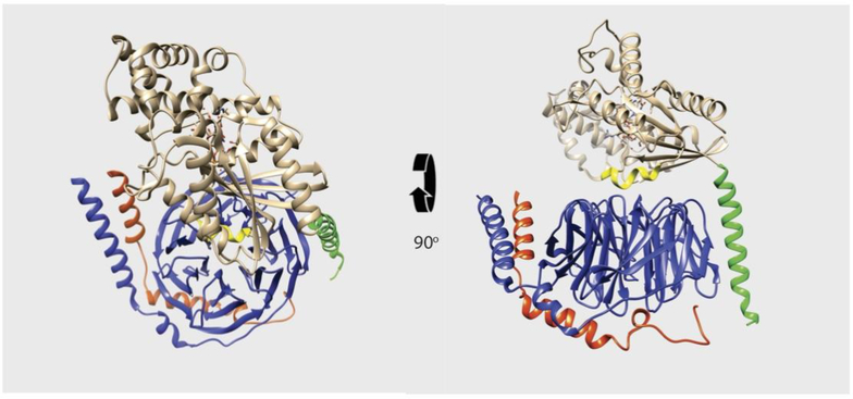 Figure 1: