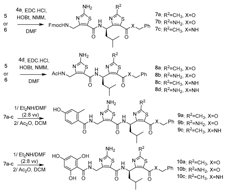 Scheme 2