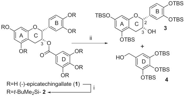 Scheme 1