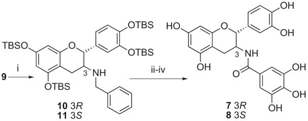 Scheme 3