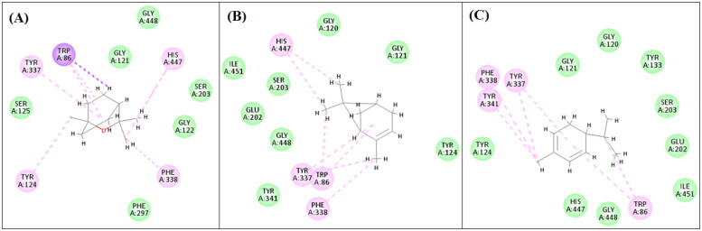 Figure 4.