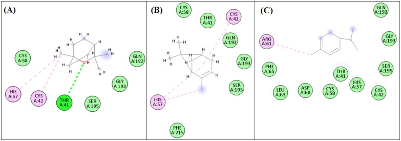 Figure 3.