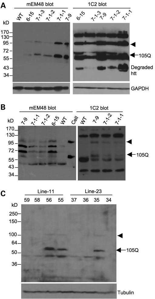 Figure 3.