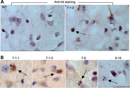 Figure 5.