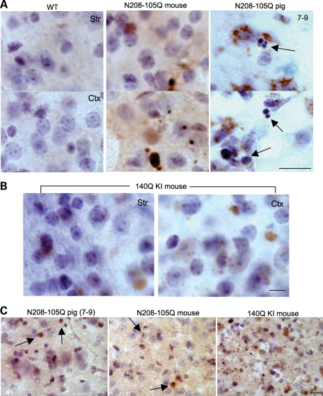 Figure 4.