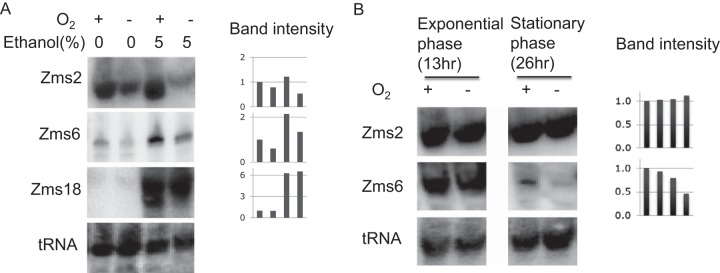 FIG 6