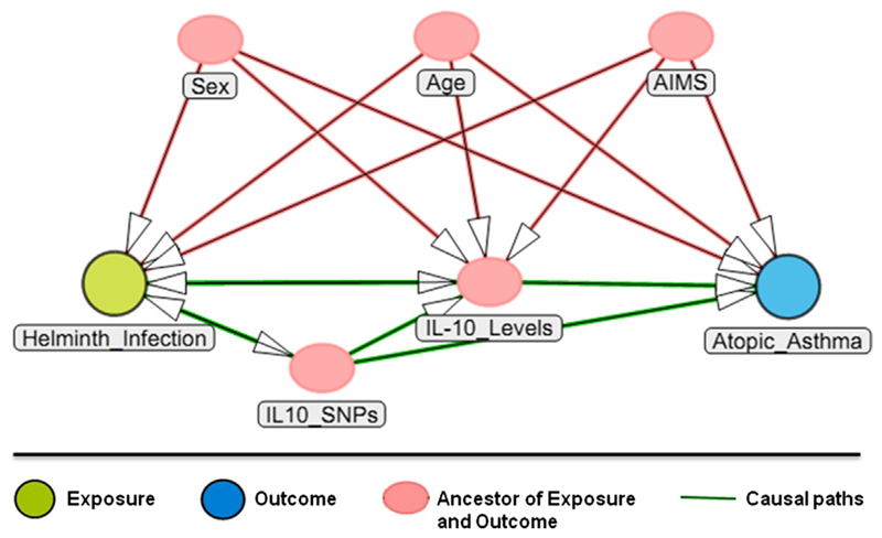 Fig 3