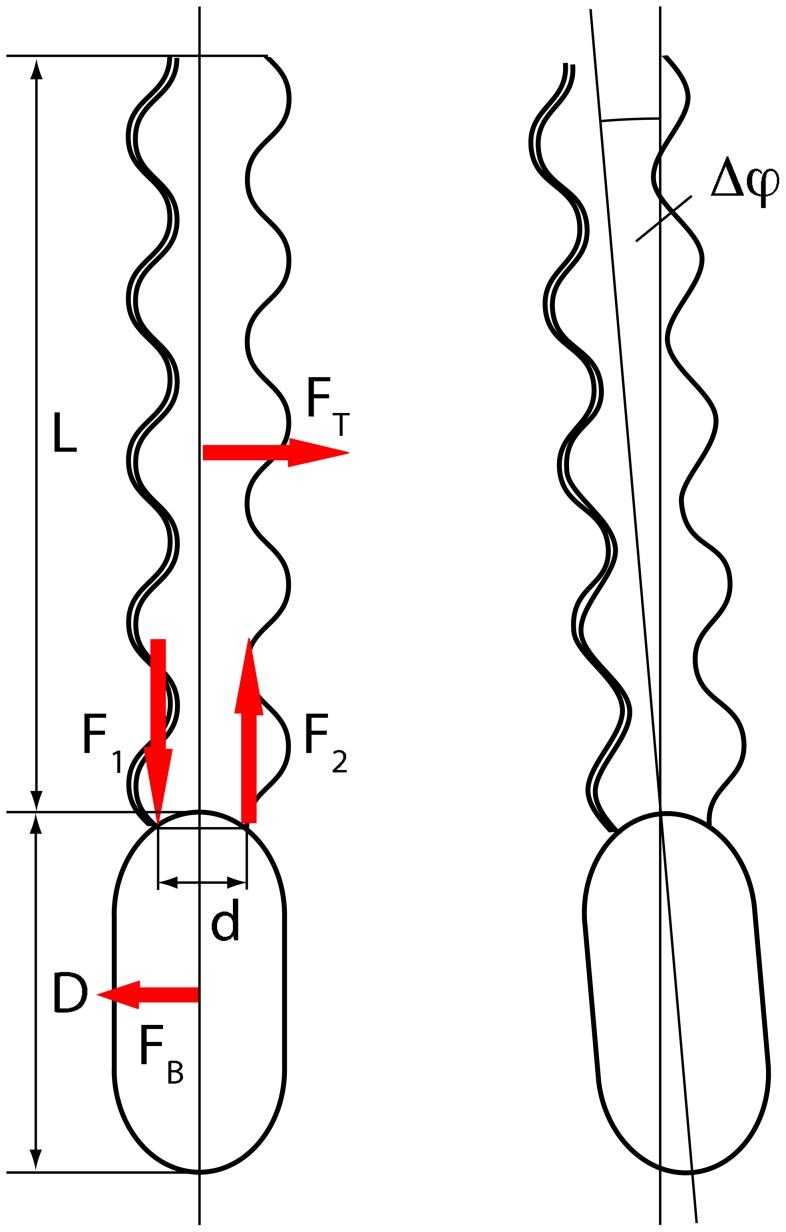 Figure 8