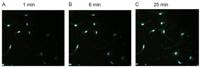 Figure 14.6