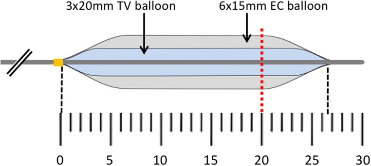 Fig. 8