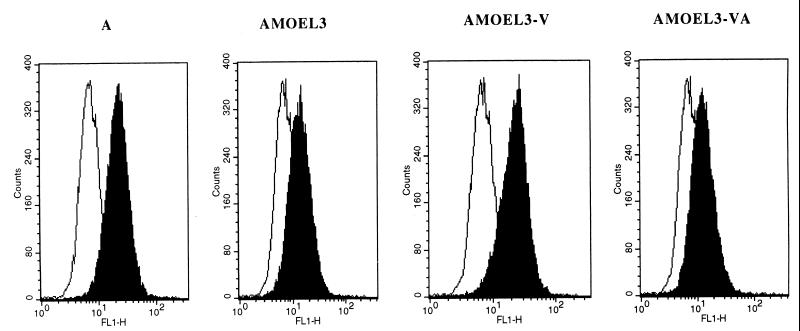 FIG. 4