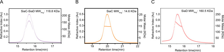 Figure 5—figure supplement 1.