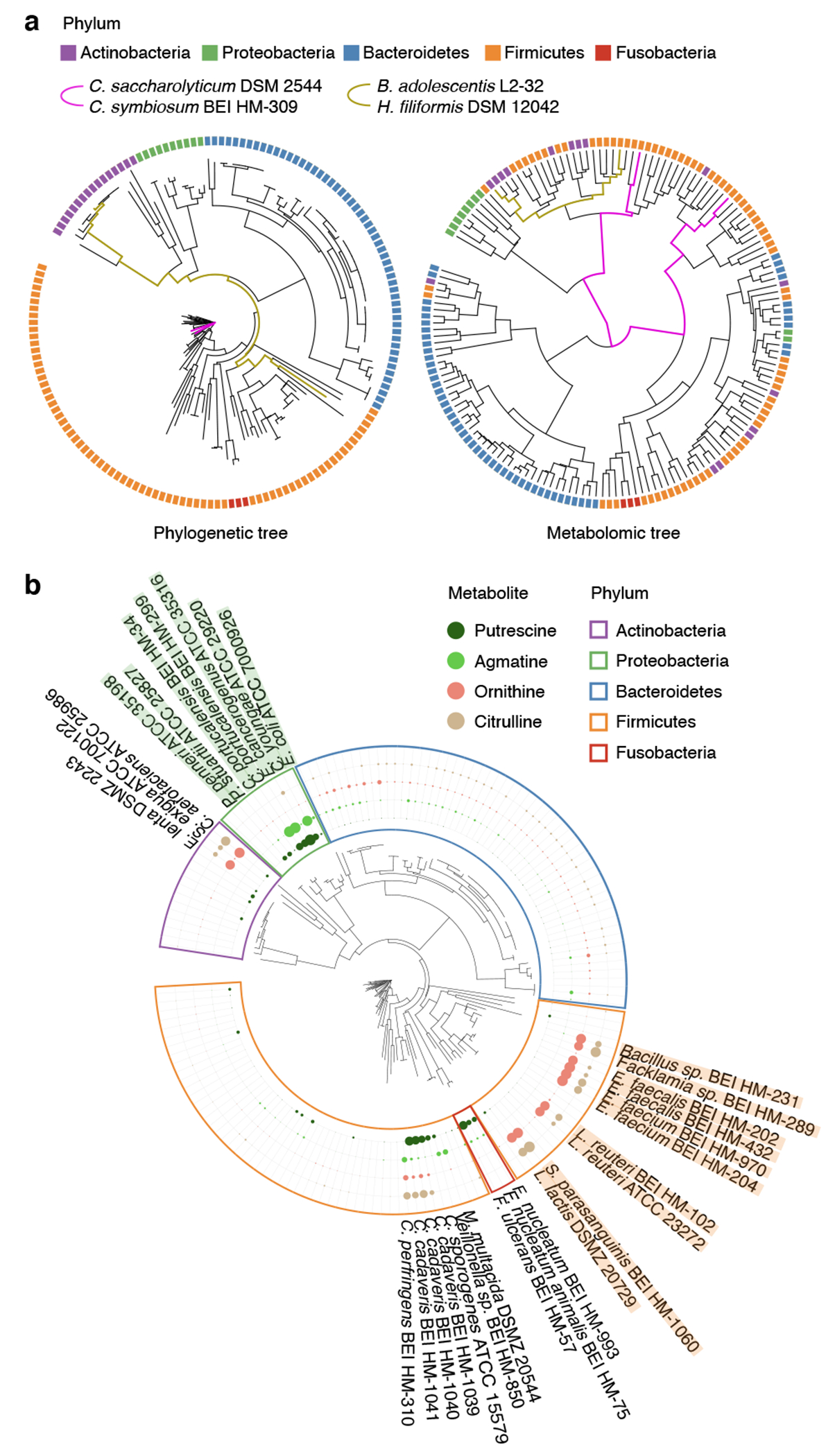 Fig. 2,