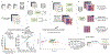 Extended Data Fig. 2,