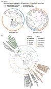 Fig. 2,