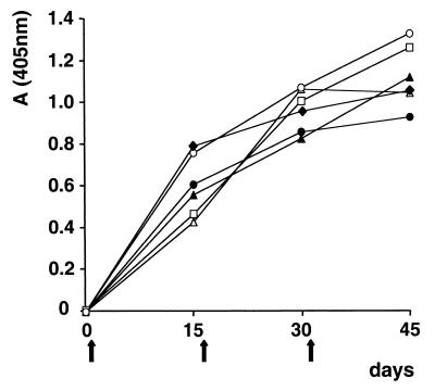 FIG. 5