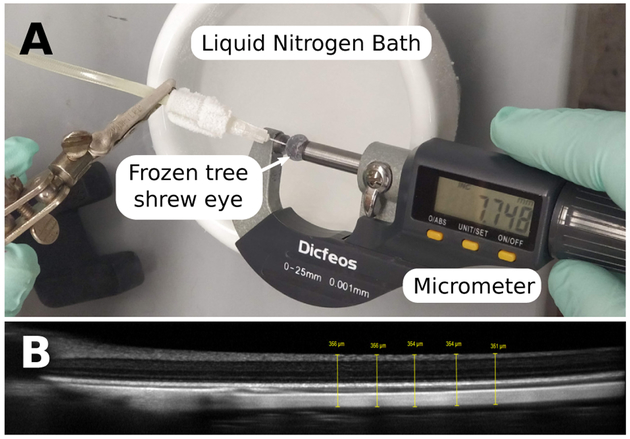 Figure 7: