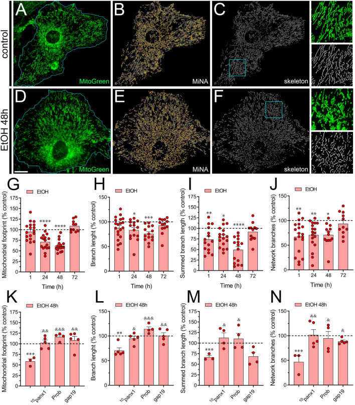 FIGURE 4