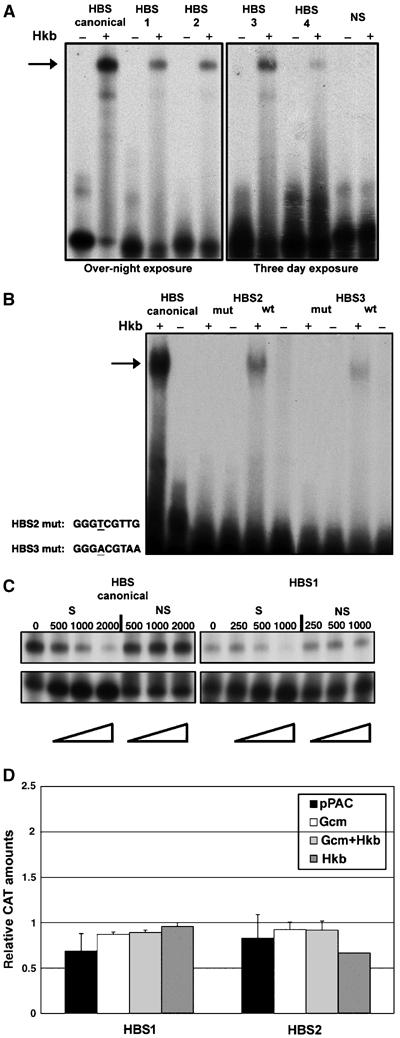 Figure 5