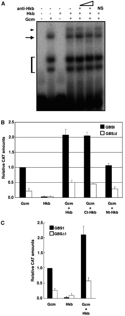 Figure 6