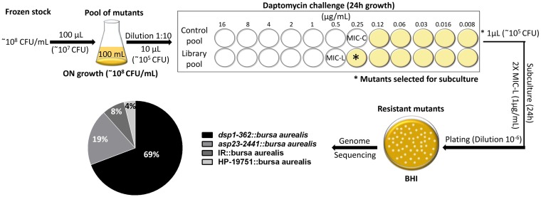 FIG 1