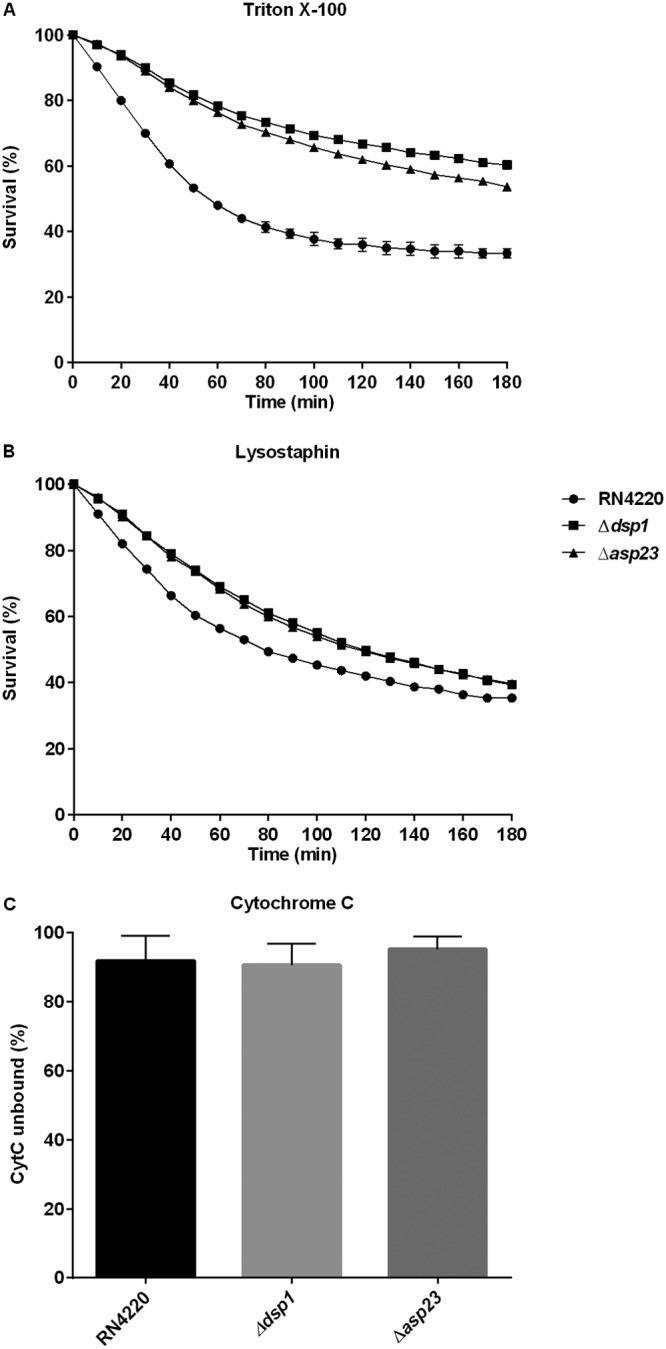 FIG 6