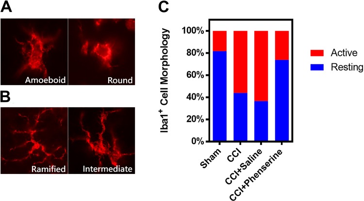 Fig 3.