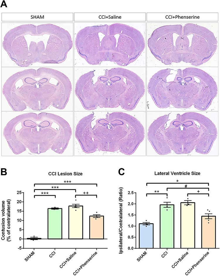 Fig 2.