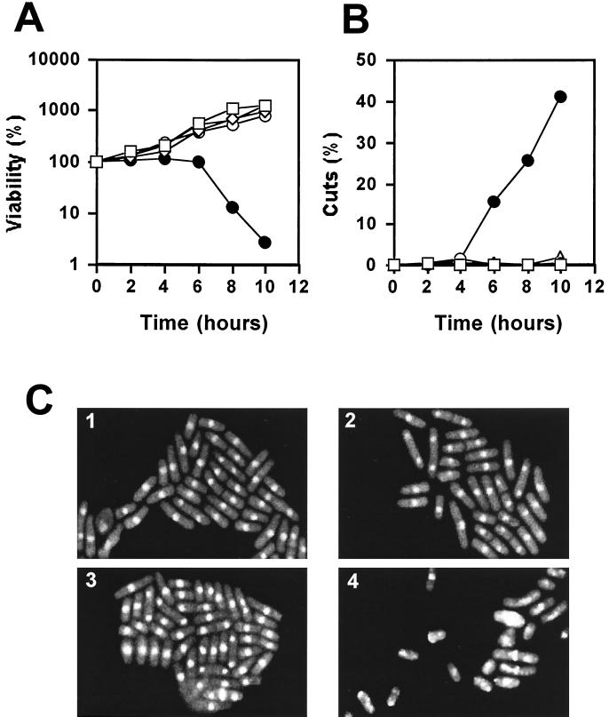 FIG. 6