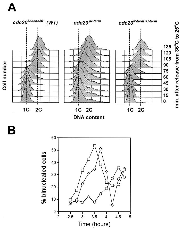 FIG. 5