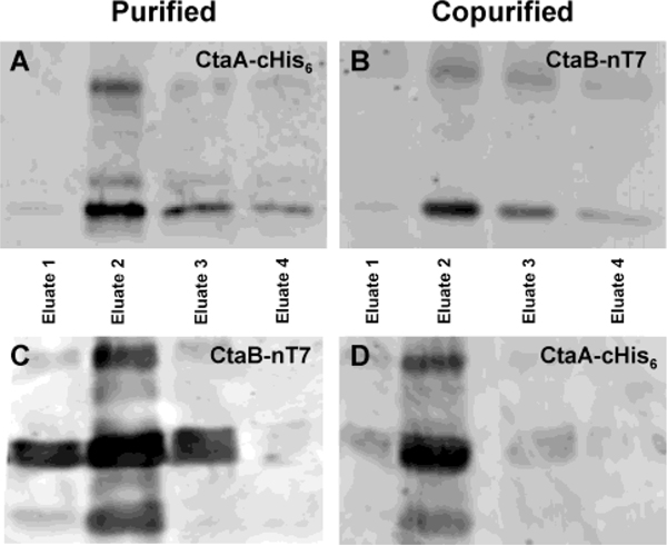 FIGURE 3: