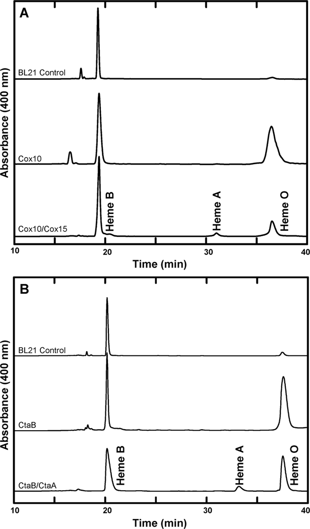 FIGURE 1: