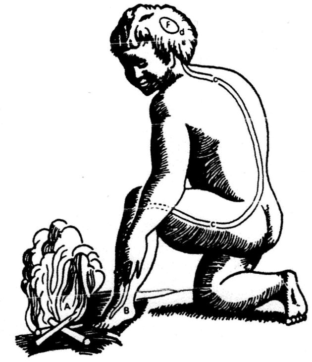 graphic file with name 940_2022_3351_Fig2_HTML.jpg