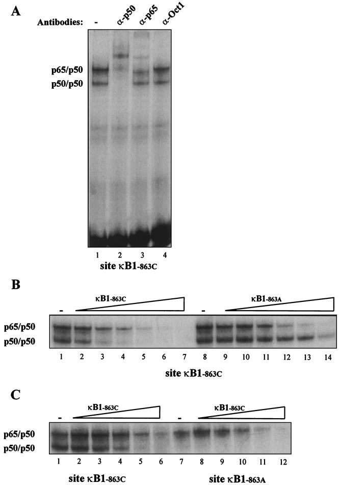 FIG. 1