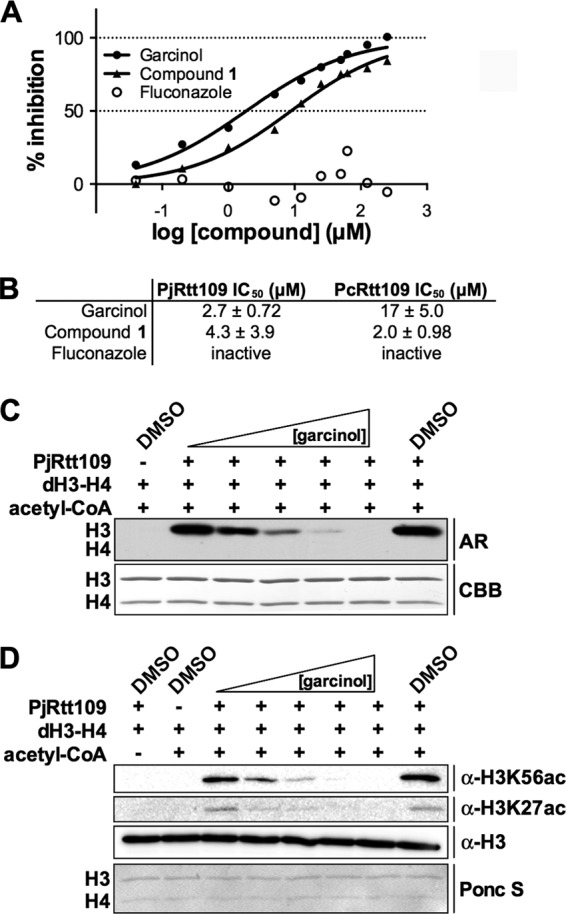 FIG 6