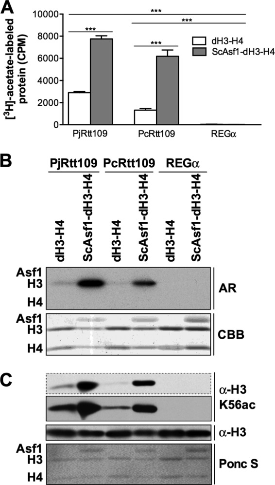 FIG 5