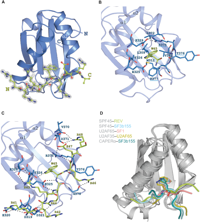 Figure 3.