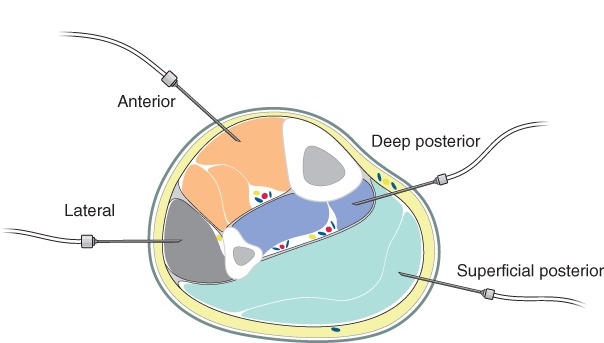 BJS-11177-FIG-0002-c