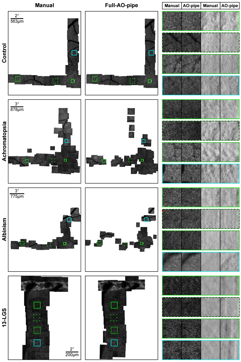 Fig. 8.