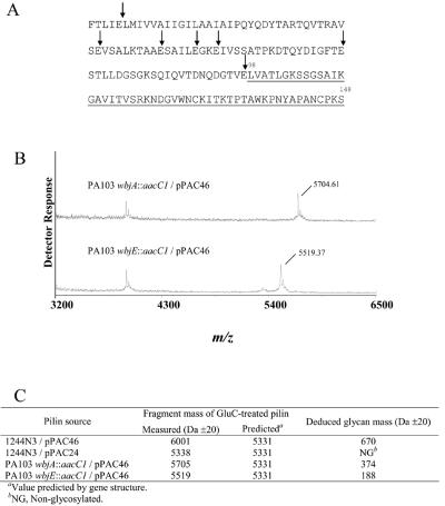 FIG. 5.