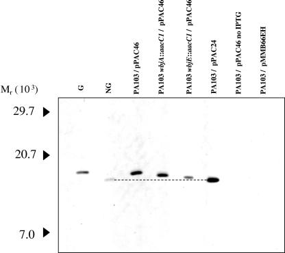 FIG. 4.