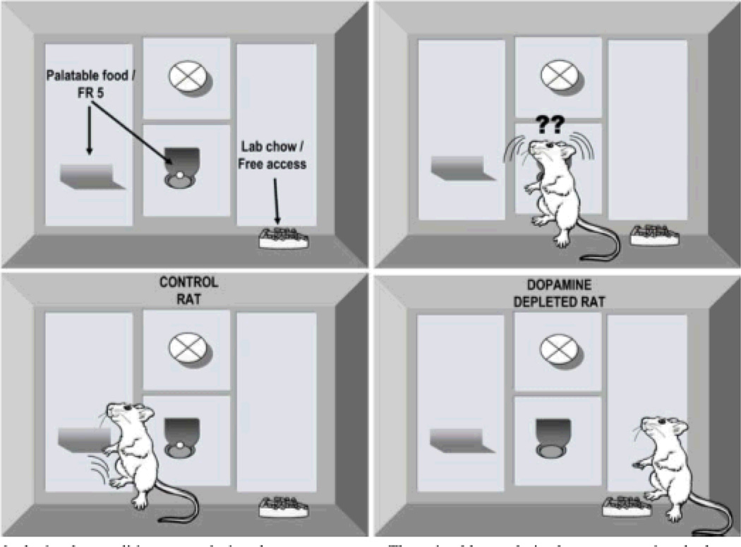 Figure 4.3