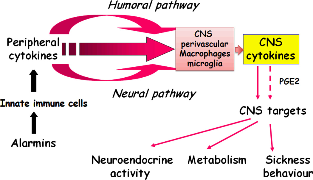 Figure 2.1