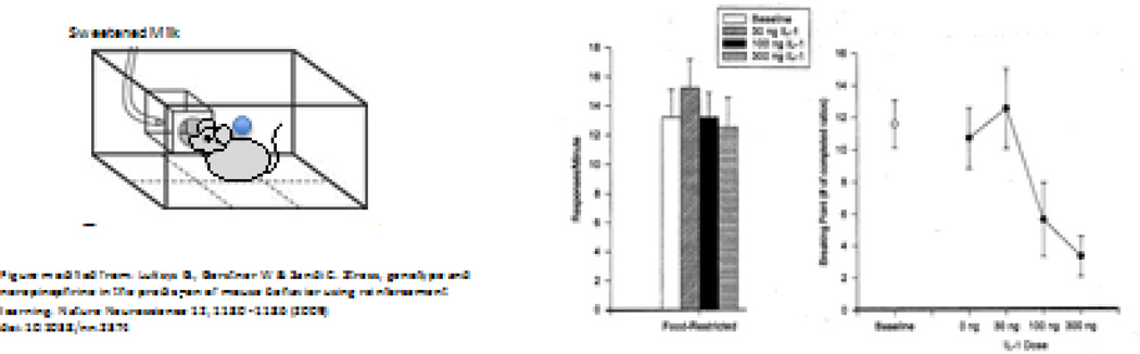 Figure 4.2