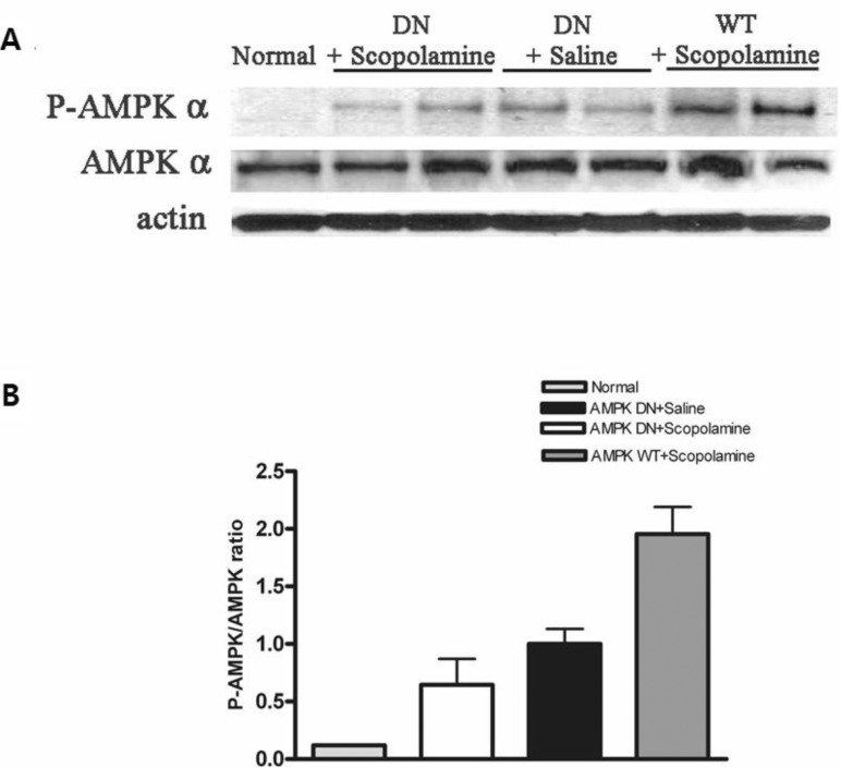 Fig. 4