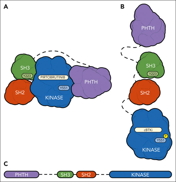 Preclinical Characterization Of Pirtobrutinib, A Highly Selective ...