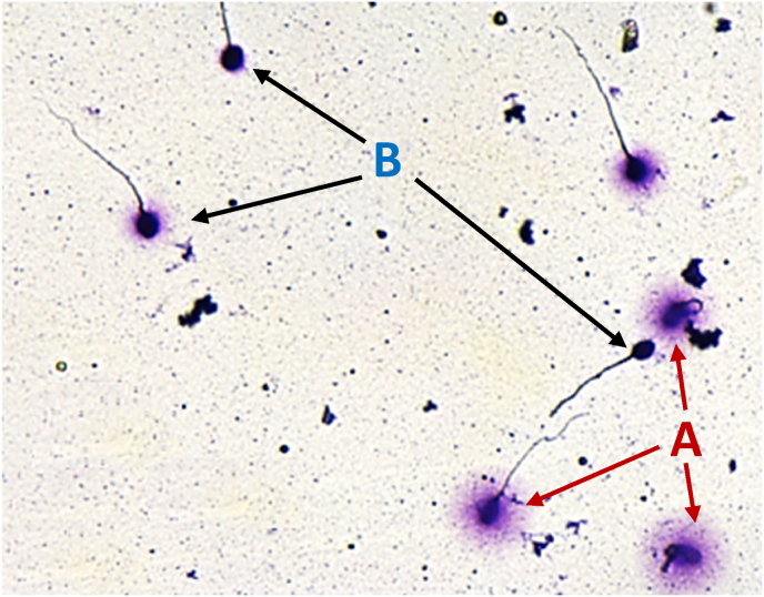 Fig. 3